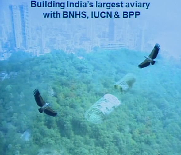 Vulture conservation aviary project in Mumbai designed with BNHS and Parsi community by Jimmy Mistry
